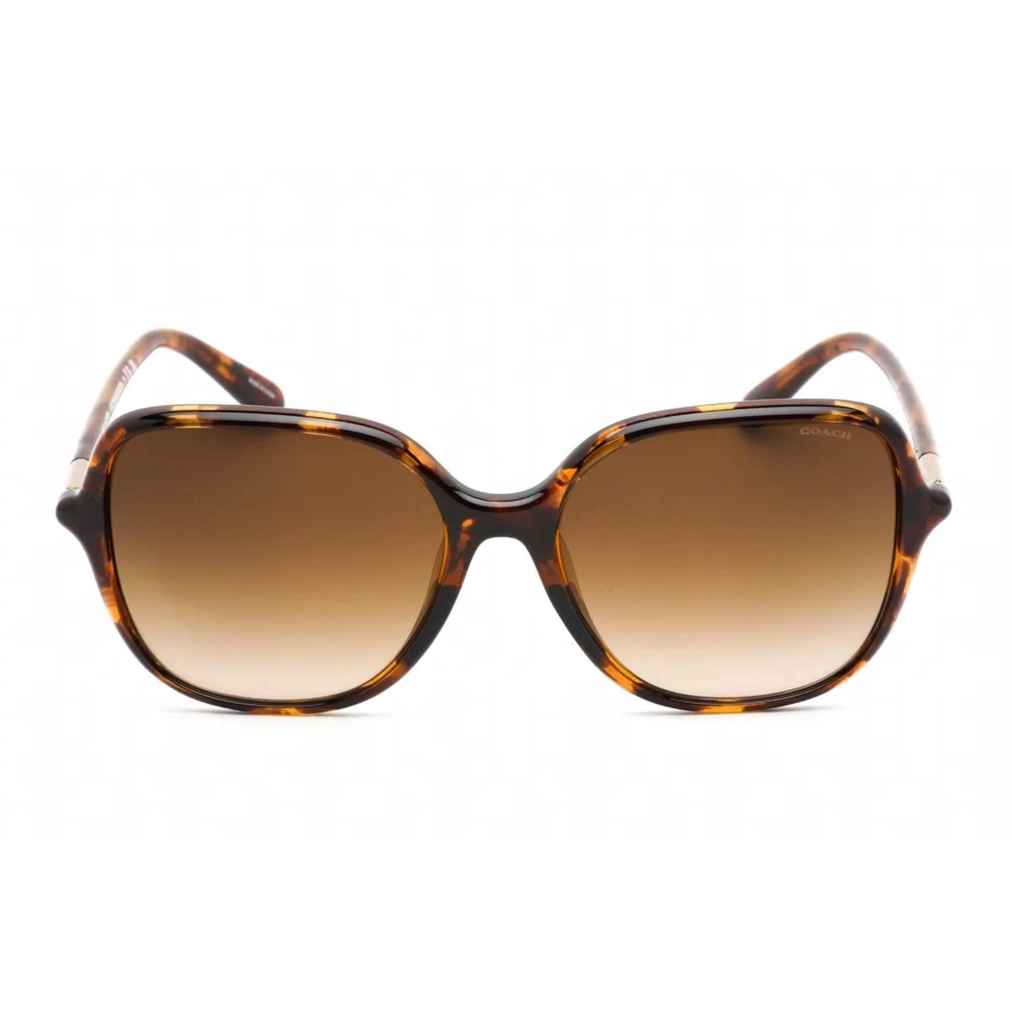 Coach Women's Sunglasses - Dark Tortoise Oversized Shaped Frame | 0HC8344U 51201355