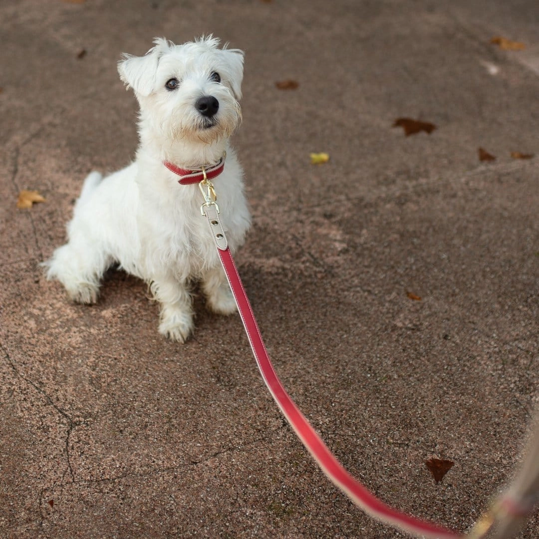 Copenhagen Vegan Leather 4ft Leash | Multiple Colours