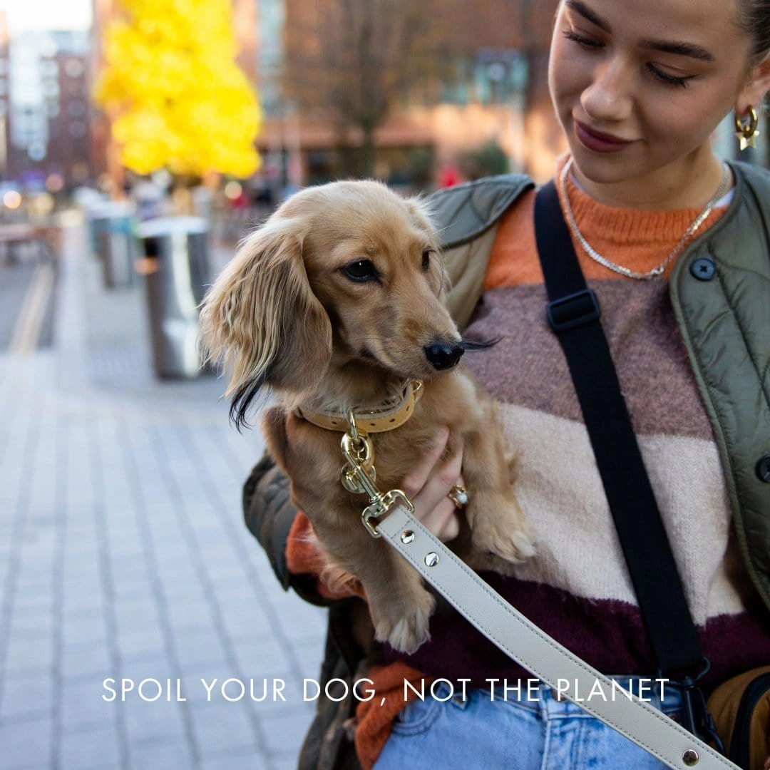 Copenhagen Vegan Leather Dog Collar | Multiple Colours