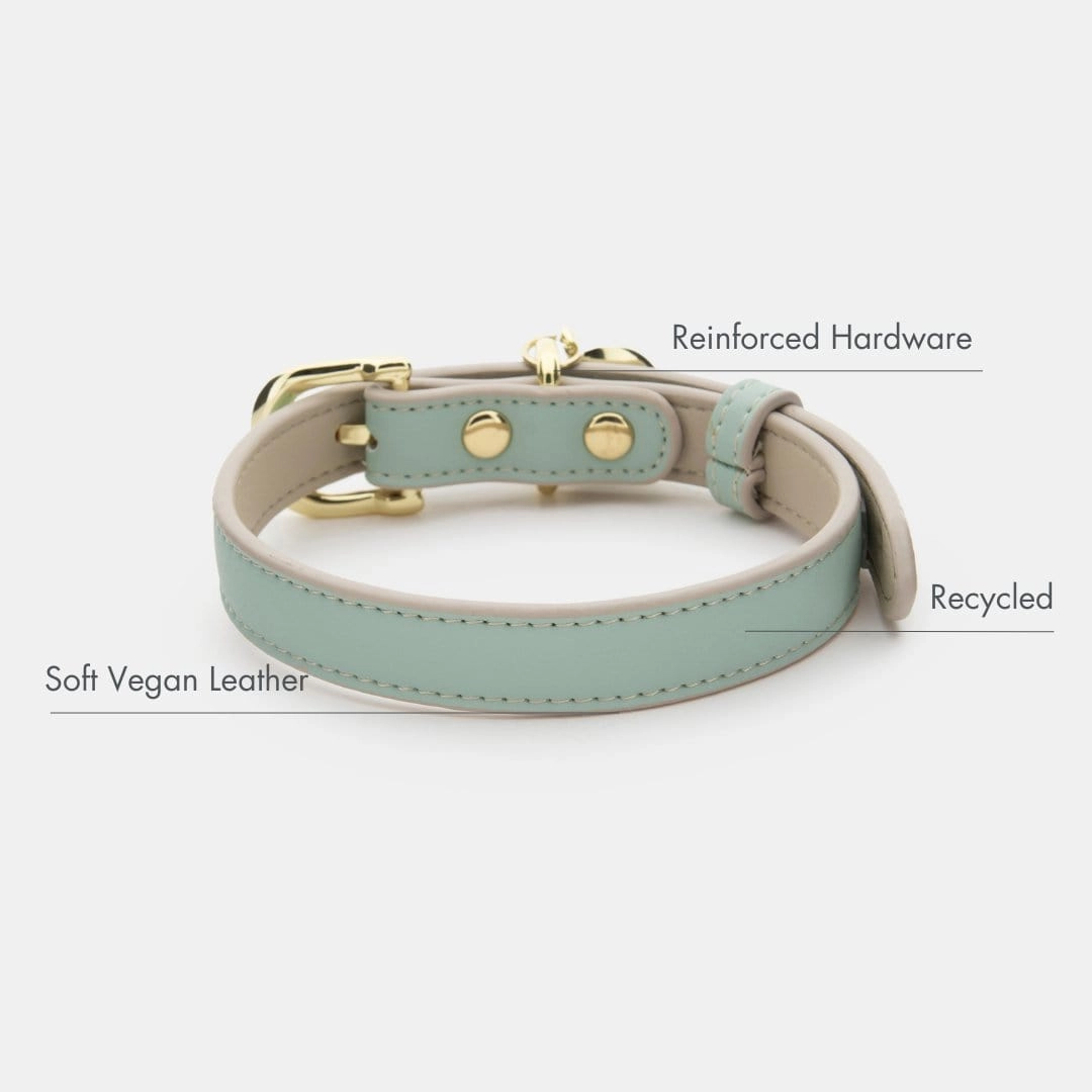 Copenhagen Vegan Leather Dog Collar | Multiple Colours