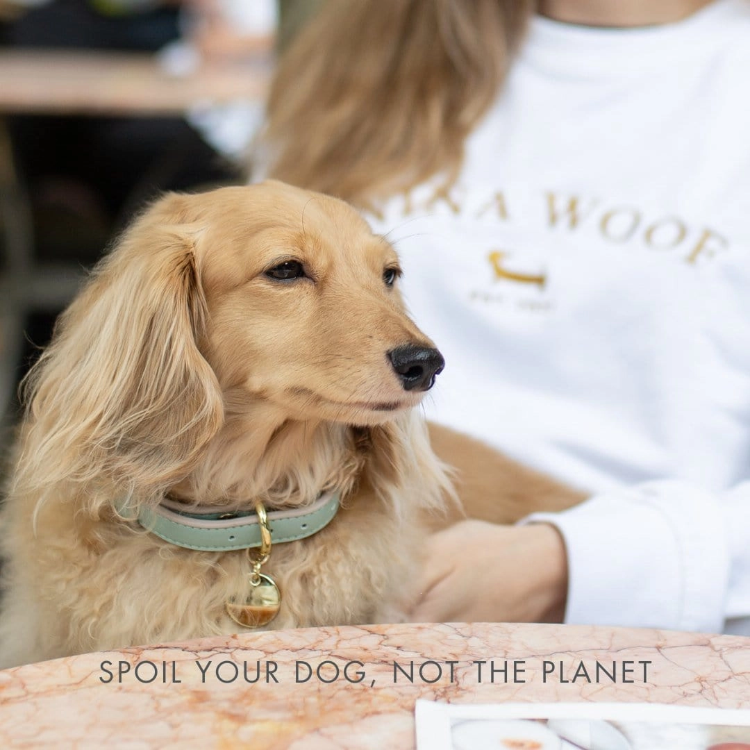 Copenhagen Vegan Leather Dog Collar | Multiple Colours
