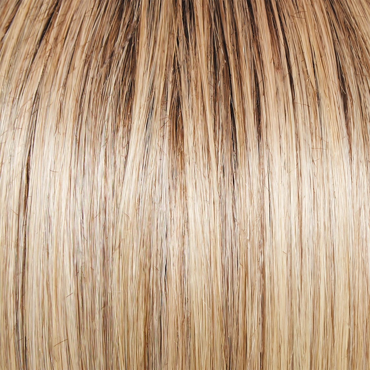 Director's Pick Wig by Raquel Welch | Heat Friendly Synthetic (Lace Front Mono)