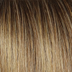 Director's Pick Wig by Raquel Welch | Heat Friendly Synthetic (Lace Front Mono)