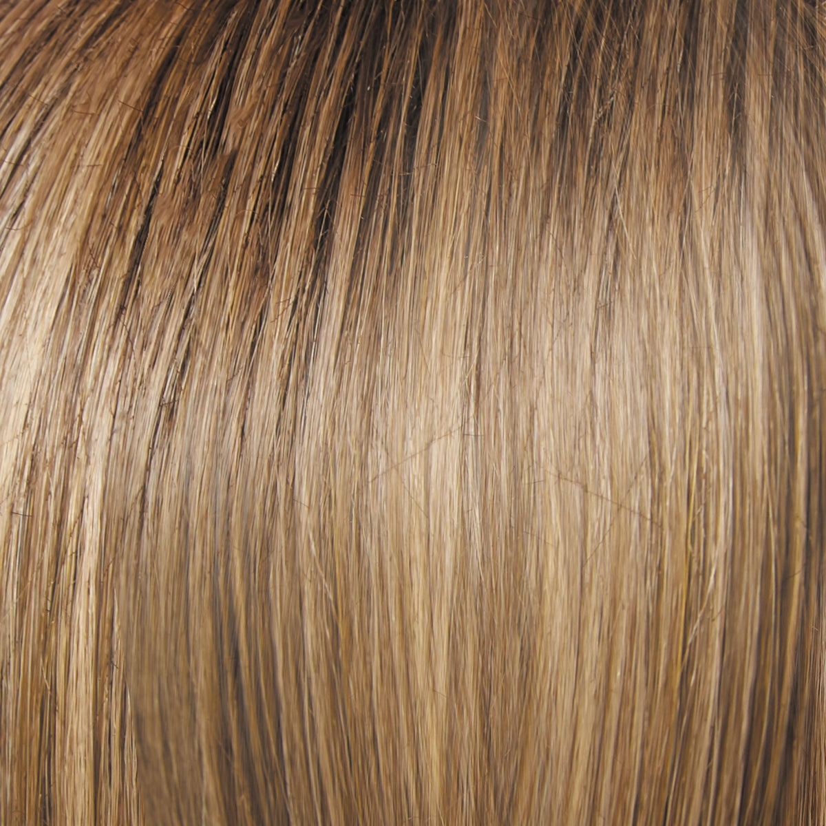 Director's Pick Wig by Raquel Welch | Heat Friendly Synthetic (Lace Front Mono)