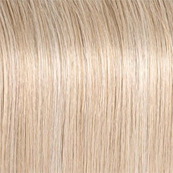 Director's Pick Wig by Raquel Welch | Heat Friendly Synthetic (Lace Front Mono)