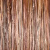 Director's Pick Wig by Raquel Welch | Heat Friendly Synthetic (Lace Front Mono)