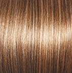 Perfection Wig by Gabor | Synthetic (Lace Front Mono Part)