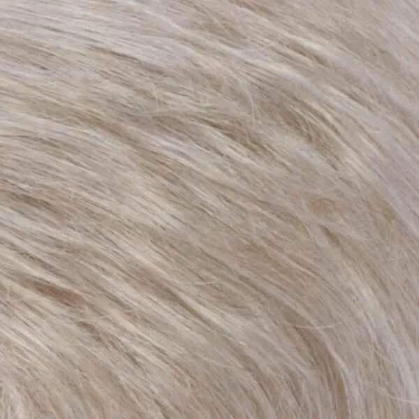 Petite Nancy Wig by Estetica Designs | Synthetic (Traditional Cap)