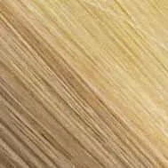 Petite Nancy Wig by Estetica Designs | Synthetic (Traditional Cap)