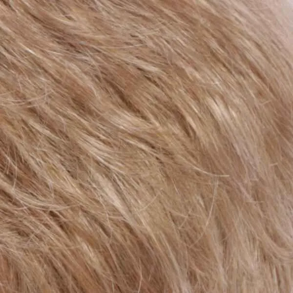 Petite Nancy Wig by Estetica Designs | Synthetic (Traditional Cap)